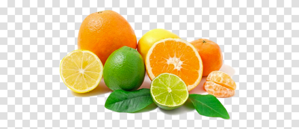 Citrus Fruits Oranges Lemons And Limes, Plant, Food, Grapefruit, Produce Transparent Png