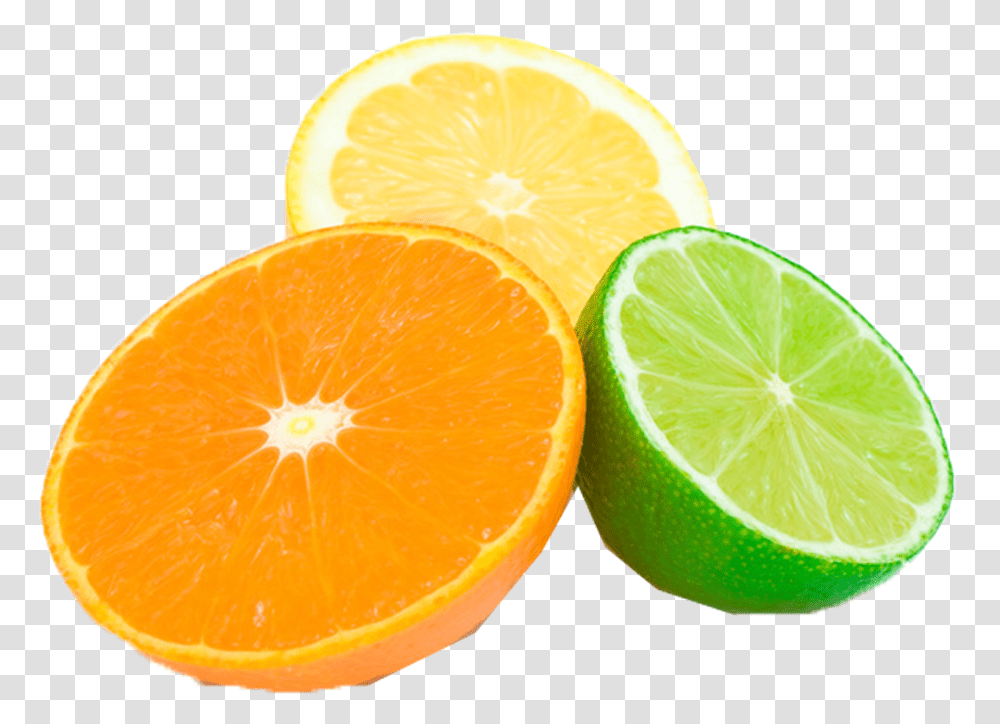 Citrus Lemon Image Download Sweet Lemon, Citrus Fruit, Plant, Food, Lime Transparent Png