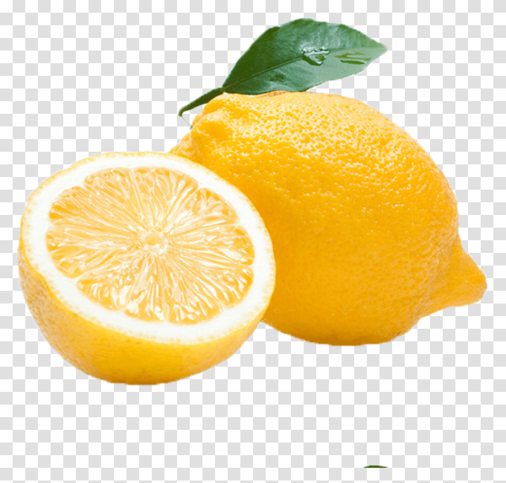 Citrus Lemon Image File Citrus, Plant, Citrus Fruit, Food, Orange Transparent Png
