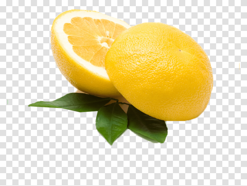 Citrus Lemon Photo Meyer Lemon, Citrus Fruit, Plant, Food, Orange Transparent Png