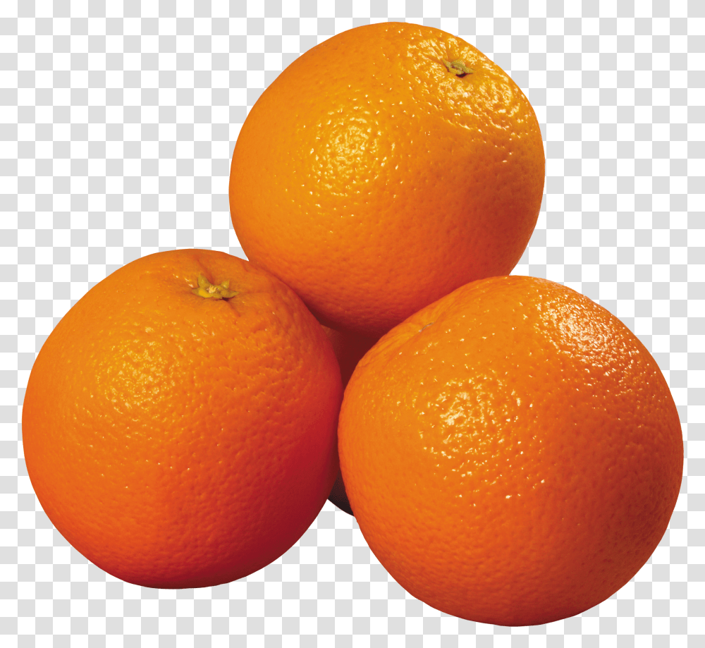 Citrus Mandarin Orange Fruit Rangpur Oranges Transparent Png