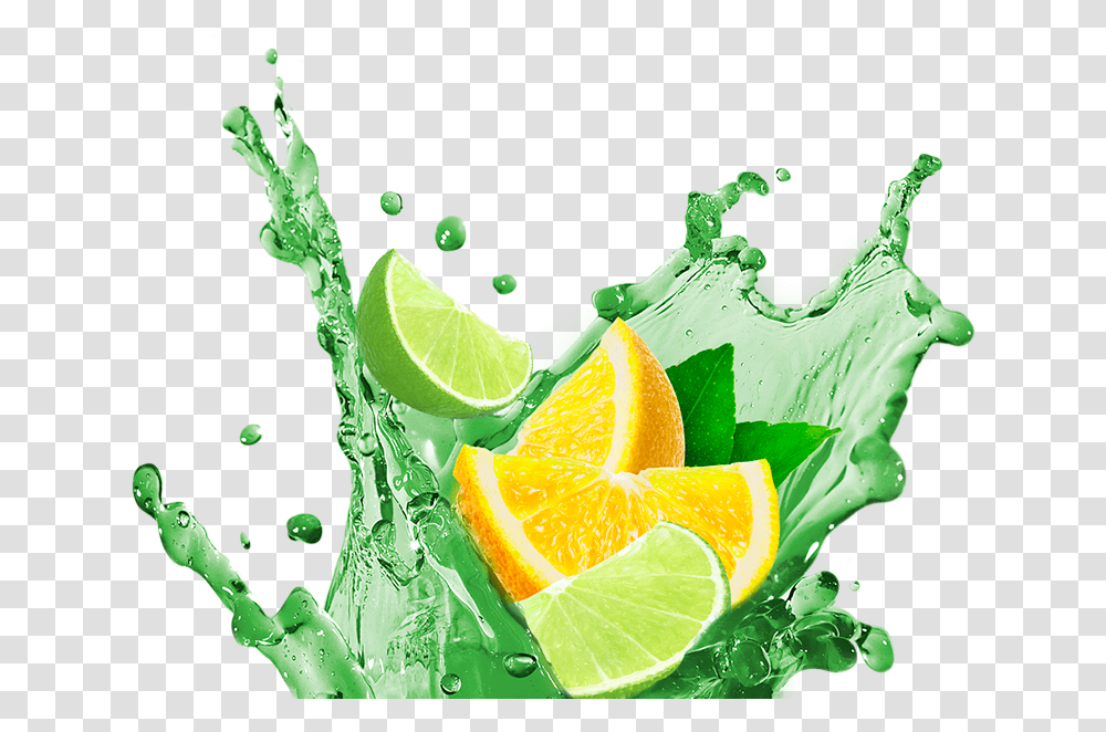 Citrus Splash Lemon Lime Splash, Citrus Fruit, Plant, Food, Beverage Transparent Png