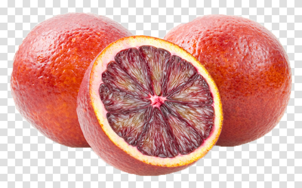 Citruses Fruit Background Blood Orange, Citrus Fruit, Plant, Food, Grapefruit Transparent Png