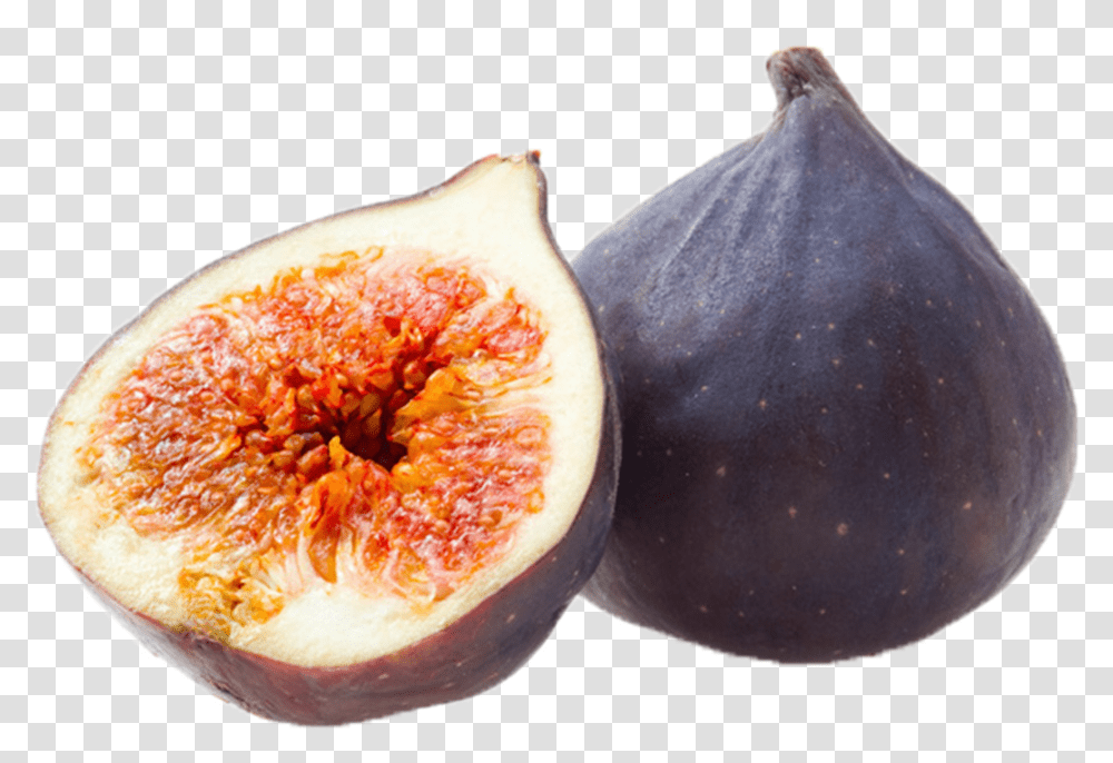 Citruses Fruit Free Download Common Fig, Plant, Food Transparent Png