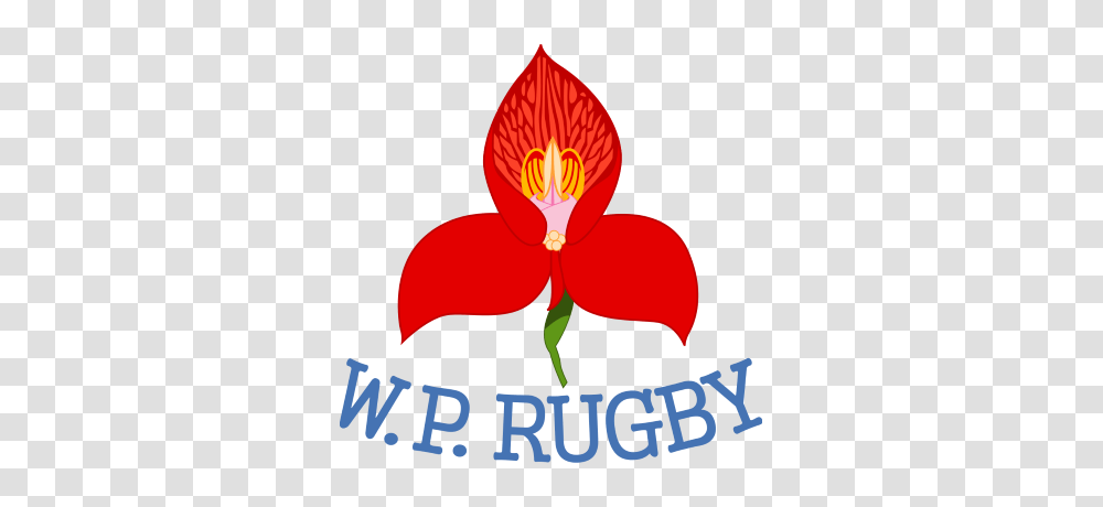City Park To Host Dhl Wp And Dhl Wp, Plant, Flower, Blossom, Orchid Transparent Png