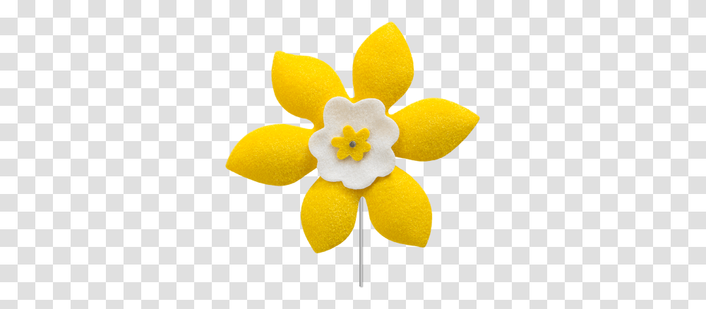 City Proclaims April Daffodil Month During Flag Raising Ceremony, Plant, Flower, Blossom, Anemone Transparent Png