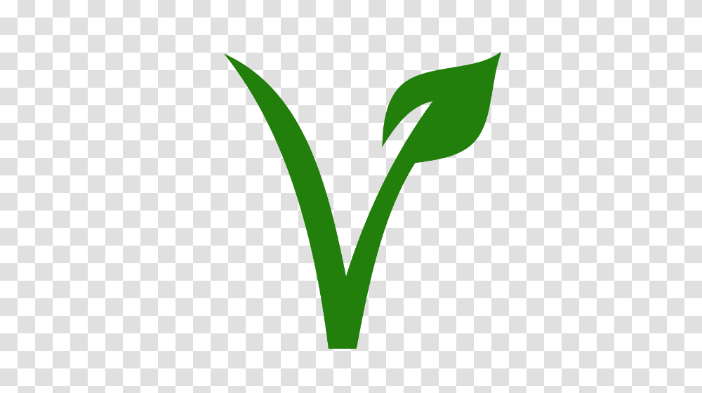 Ck, Plant, Green, Word, Tree Transparent Png
