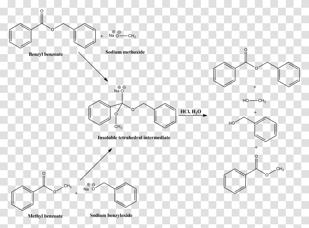 Claisen S 1887 Reaction Hydrolysis Of Benzyl Acetate, Outdoors, Nature, Plot, Diagram Transparent Png