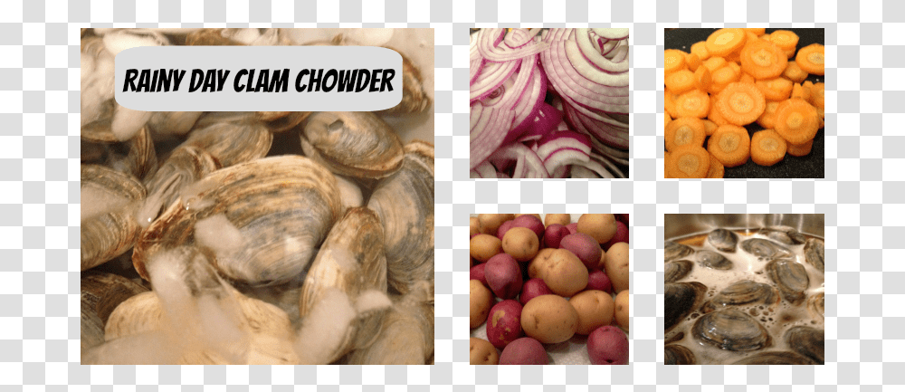 Clam Chowder Shallot, Plant, Food, Produce, Vegetable Transparent Png