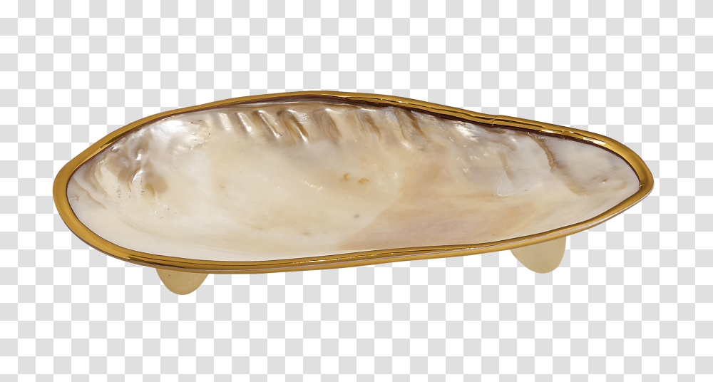 Clam Plate Brass Edged Novelties And Collectables, Sea Life, Animal, Seashell, Invertebrate Transparent Png