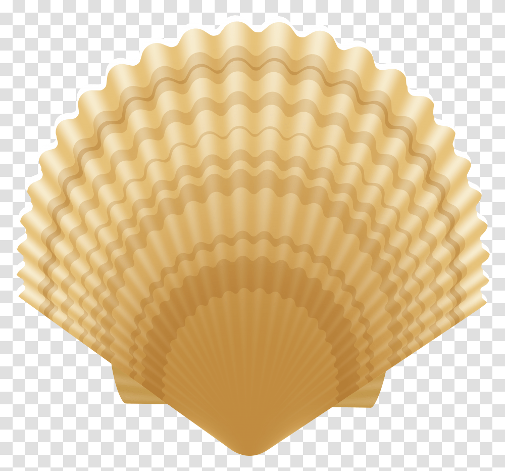 Clam Shell Clip Art Image Portable Network Graphics Transparent Png