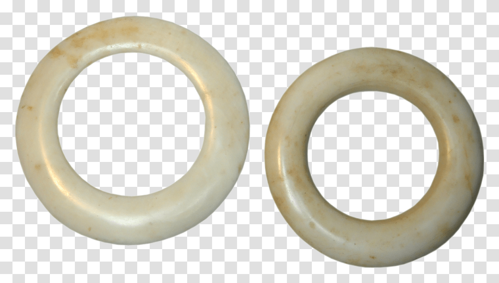 Clam Shell, Ivory Transparent Png