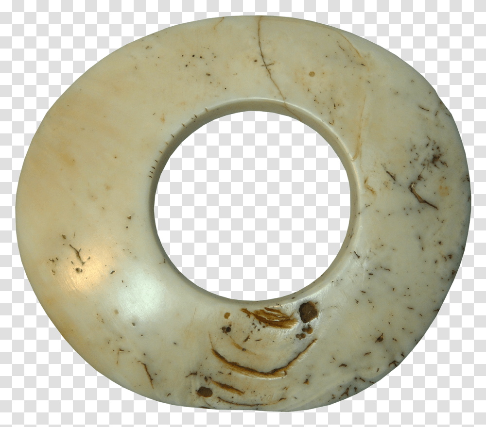 Clam Shell, Ivory Transparent Png