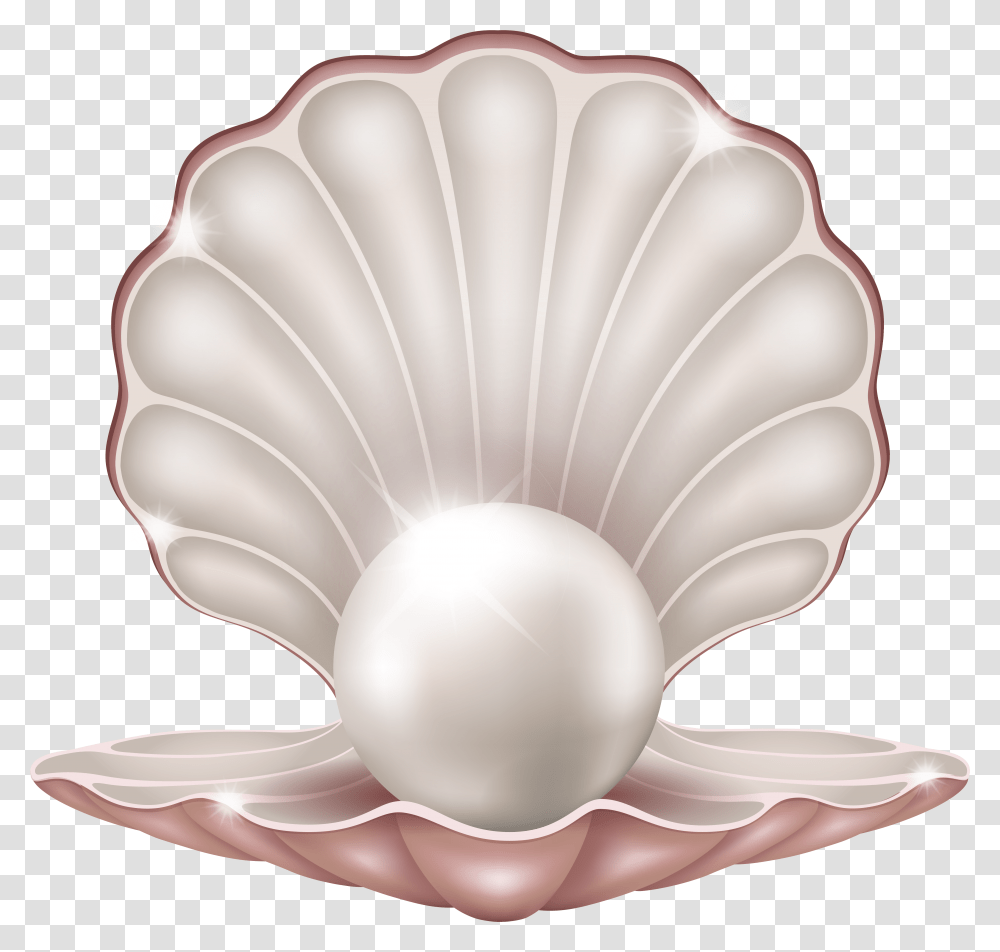 Clam With Pearl Images Pearl Clipart Transparent Png