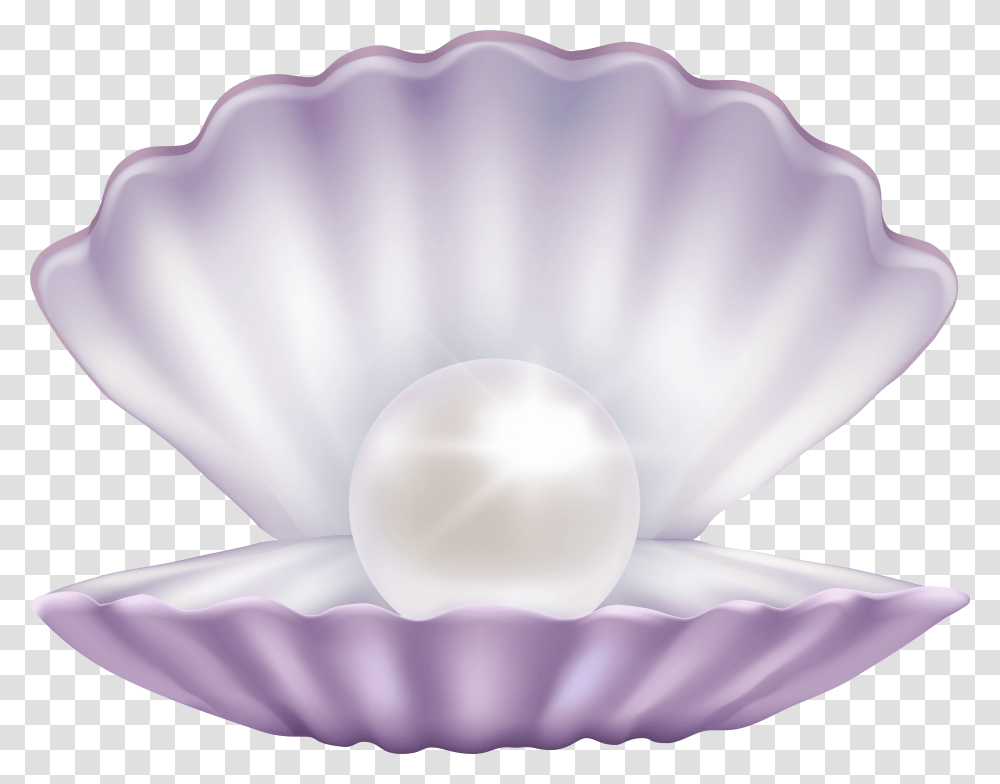 Clam With Pearl Pearls Background Transparent Png