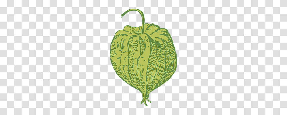 Clammy Ground Cherry Food, Plant, Fruit, Produce Transparent Png
