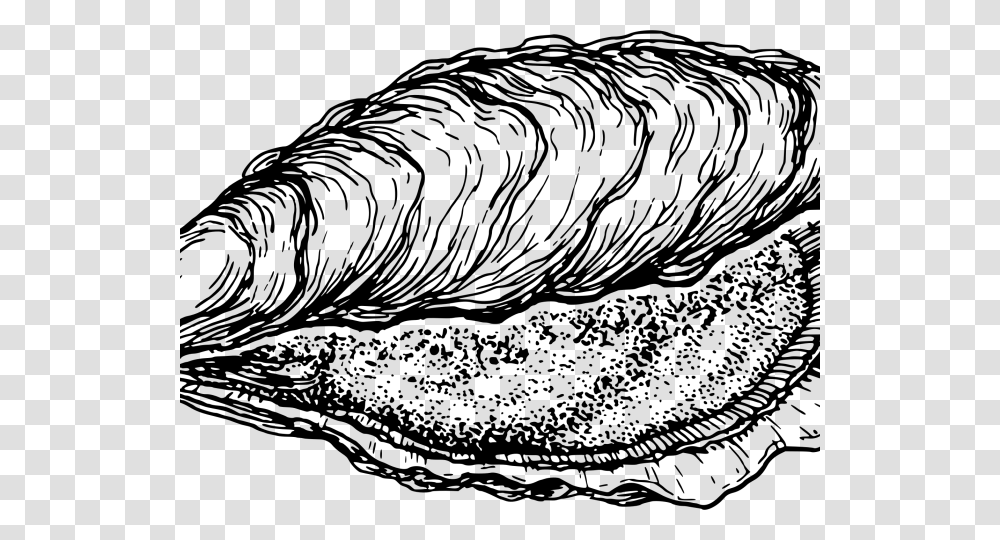 Clams Clipart Oyster, Gray, World Of Warcraft Transparent Png