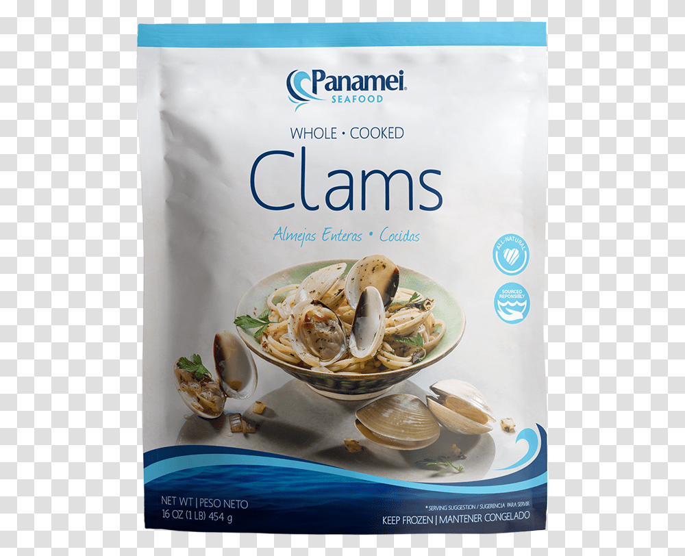 Clams Panamei Clams, Seashell, Invertebrate, Sea Life, Animal Transparent Png