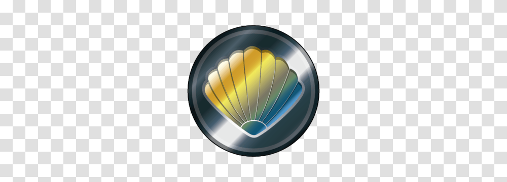 Clams, Sphere, Light Transparent Png