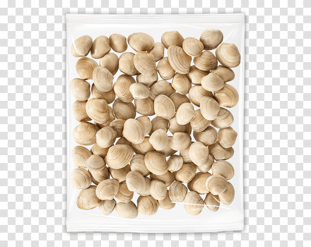 Clams Wood, Plant, Vegetable, Food, Nut Transparent Png
