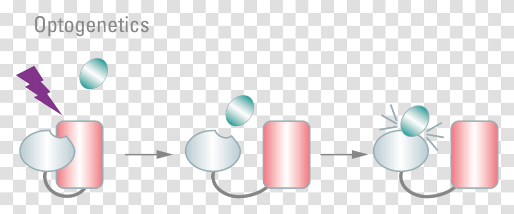 Clap Graphic Design, Medication, Pill, Lamp, Cylinder Transparent Png