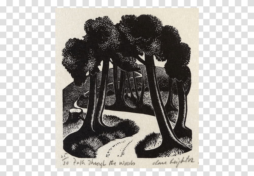 Clare Leighton Path Through The Woods Wood Engraving Illustration, Drawing, Plant, Poster Transparent Png