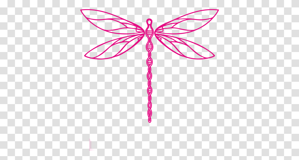 Clarity Call Anyaa Lightheart, Bow, Dragonfly, Insect, Invertebrate Transparent Png
