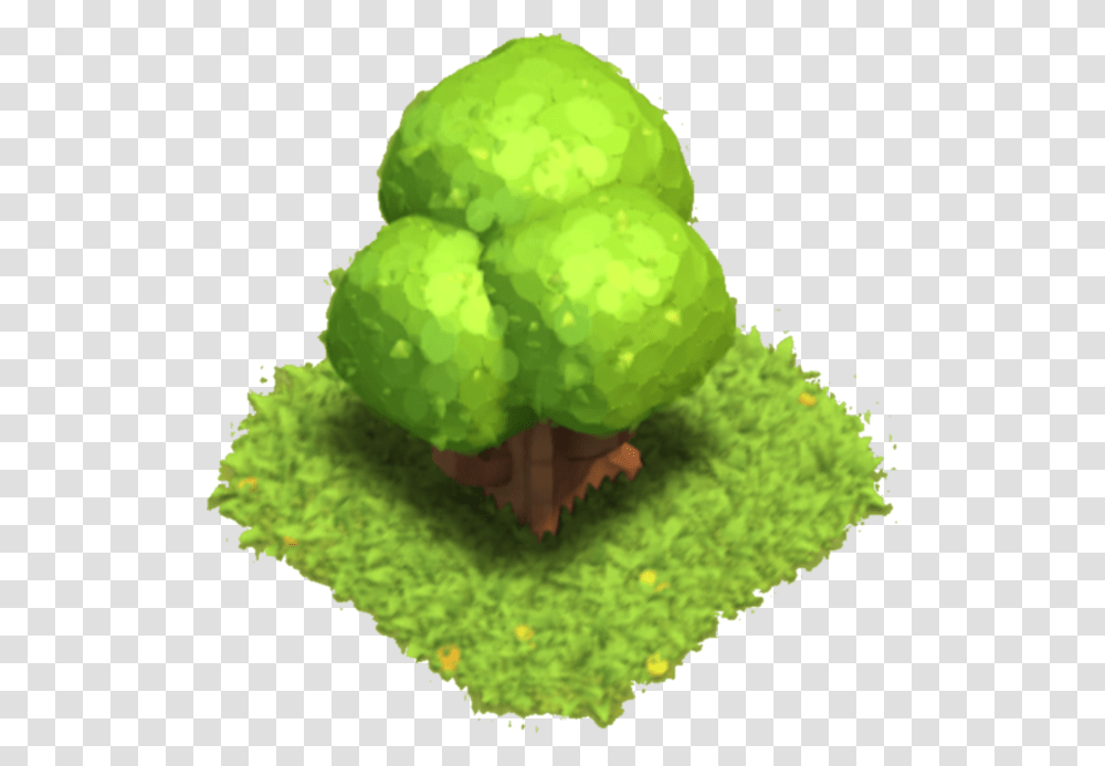 Clash Of Clans Big Tree, Green, Plant, Sphere, Ball Transparent Png