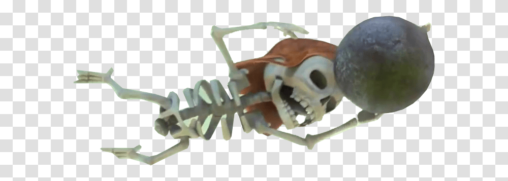 Clash Of Clans Skeleton With Bomb Esqueletos Clash Royale, Invertebrate, Animal, Wasp, Insect Transparent Png