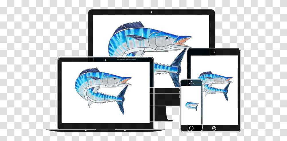Class Img Responsive Animated Zoominup Animation Delay Sailfish, Animal, Sea Life, Swordfish, Tuna Transparent Png
