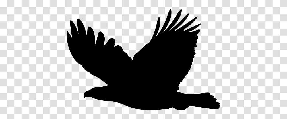 Class Lazyload Lazyload Mirage Cloudzoom Featured Image Icon Eagle, Gray, World Of Warcraft Transparent Png