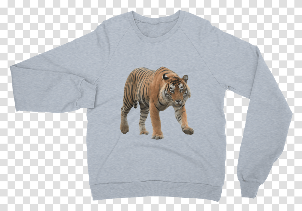Class Lazyload Lazyload Mirage Cloudzoom Featured Image Long Sleeved T Shirt, Apparel, Tiger, Wildlife Transparent Png