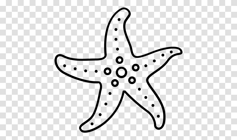 Class Lazyload Lazyload Mirage Cloudzoom Featured Image Starfish, Gray, World Of Warcraft Transparent Png