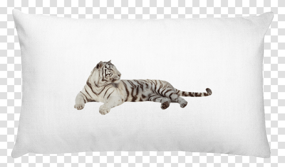 Class Lazyload Lazyload Mirage Cloudzoom Featured Image White Rectangular Pillow, Tiger, Wildlife, Mammal, Animal Transparent Png