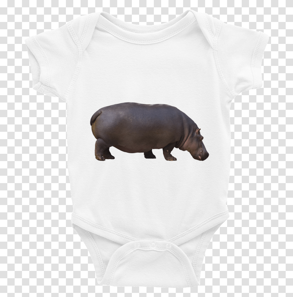 Class Lazyload Lazyload Mirage CloudzoomStyle Hippopotamus, Animal, Mammal, Wildlife Transparent Png