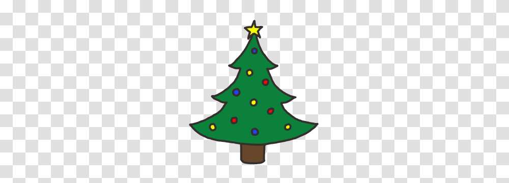 Classes, Tree, Plant, Ornament, Christmas Tree Transparent Png