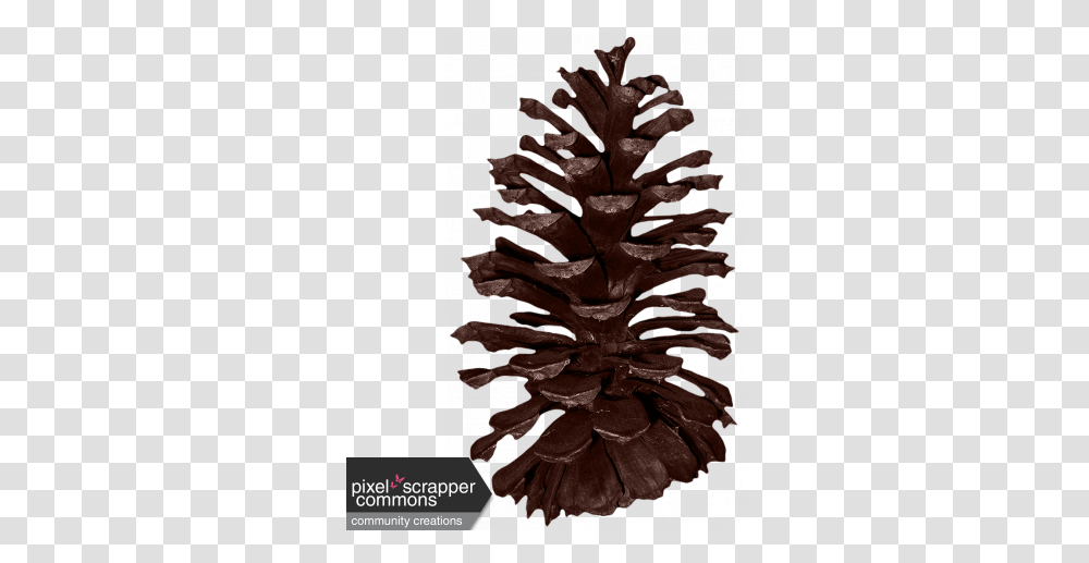 Classic Christmas Pine Cone Graphic By Amanda Lopez Pond Pine, Plant, Wood, Bronze, Tree Transparent Png