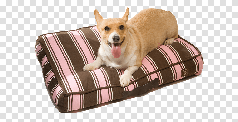 Classic Pillow Beds Companion Dog, Cushion, Furniture, Pet, Canine Transparent Png
