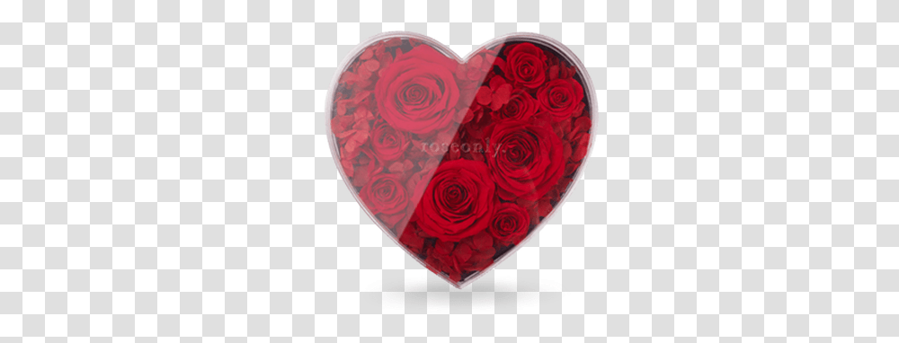 Classic Rose Heart Heart, Accessories, Accessory, Jewelry, Flower Transparent Png