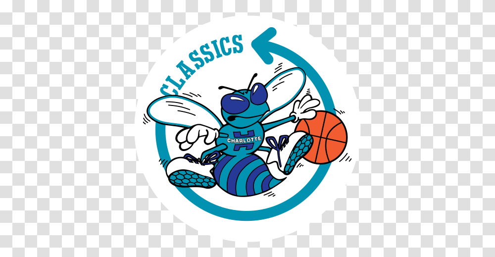 Classichornets Quiz May 31 Charlotte Hornets, Animal, Invertebrate, Insect, Sea Life Transparent Png