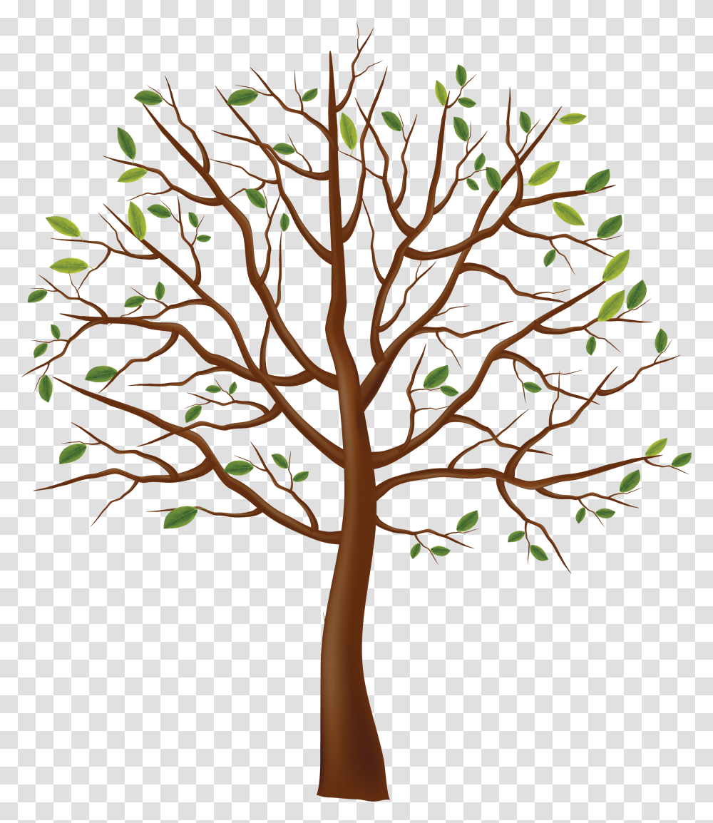 Classy Tree Oak Root Branch Tree Vector Tree Oak Root Branch Tree, Plant, Tree Trunk, Maple, Leaf Transparent Png