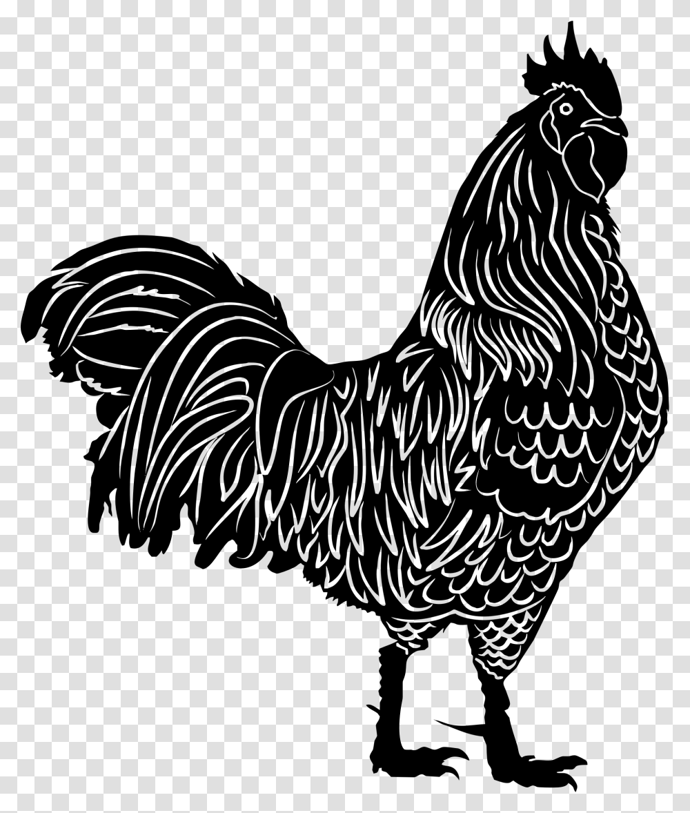Claws Clipart Rooster, Gray, World Of Warcraft Transparent Png