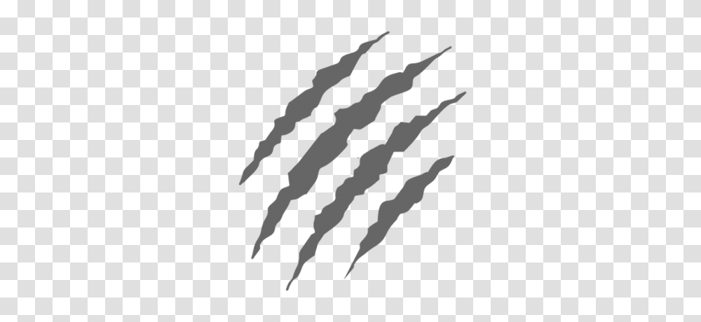 Claws Grey Scratch, Hook Transparent Png