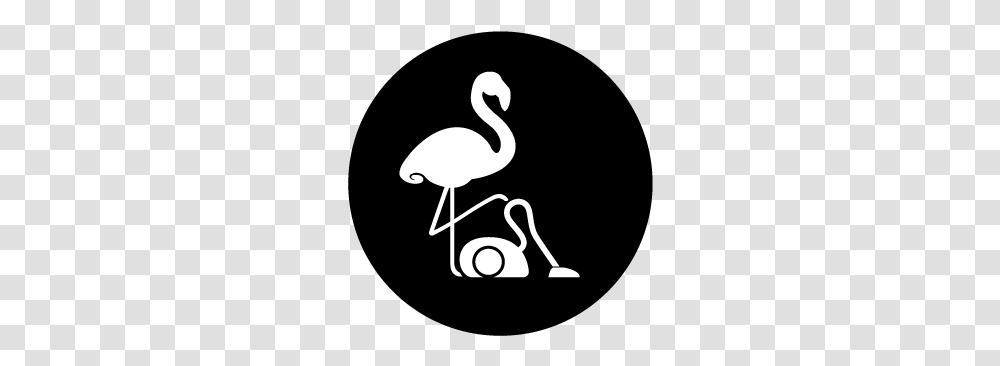 Cleanchris Bird, Animal, Flamingo, Waterfowl, Crane Bird Transparent Png