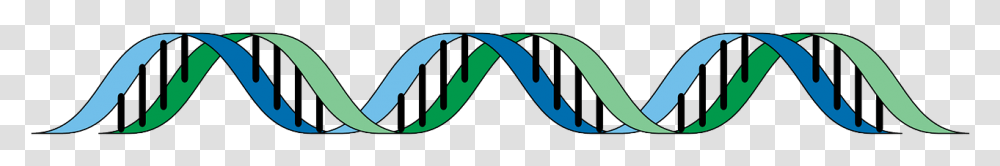 Clear Background Dna, Word, Building, Architecture, Logo Transparent Png