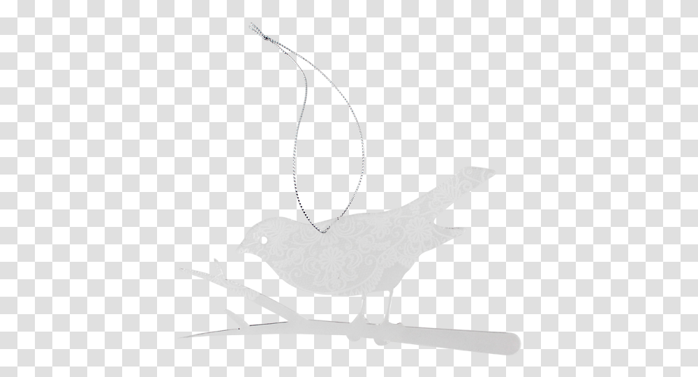 Clear Lace Christmas Robin Gull, Bird, Animal, Canary, Poultry Transparent Png