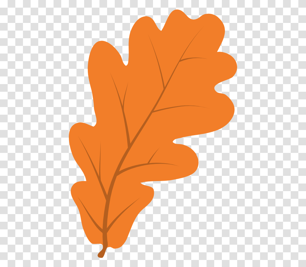 Clear Oak Leaf Graphic Autumn, Plant, Grain, Produce, Vegetable Transparent Png