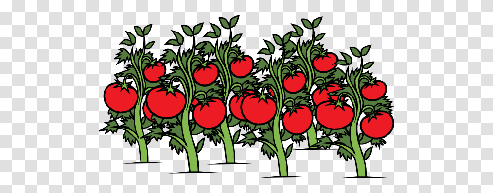 Clearer Tomato Patch Clip Art, Plant, Food, Tree, Fruit Transparent Png