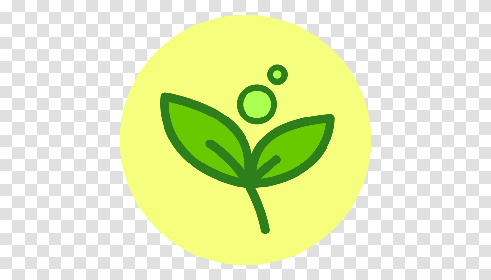 Clearing Away Heat And Toxic Material Signs Energy Icon With, Tennis Ball, Sport, Sports, Plant Transparent Png