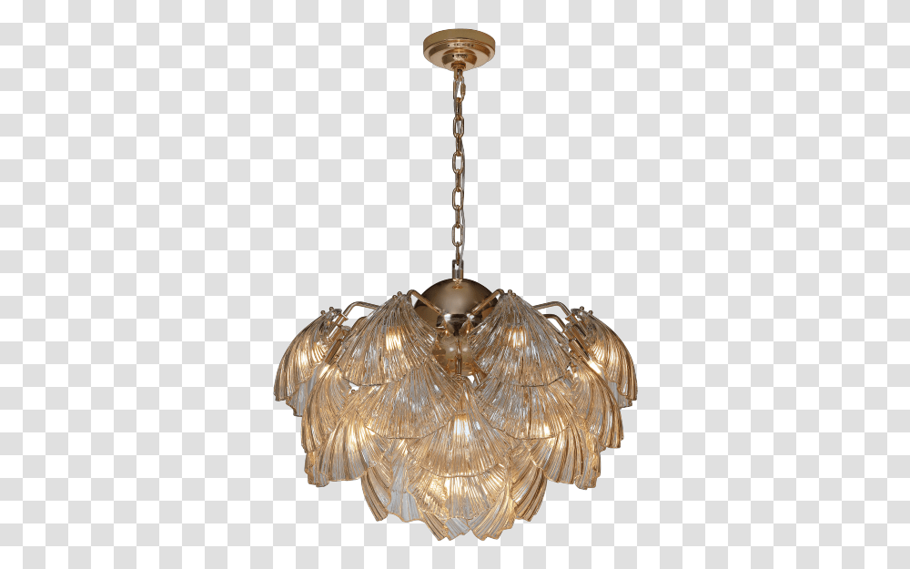 Clearpendant Lamp Line Concha Klighting By Candibambu Chandelier, Light Fixture, Ceiling Light, Bronze Transparent Png
